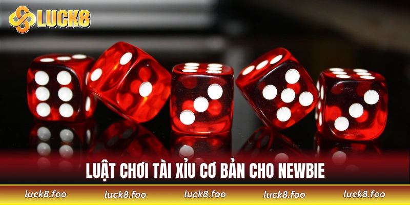 Luật chơi tài xỉu cơ bản newbie cần phải biết